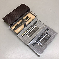 PLATINUM Belage 万年筆 14K 細字 他 ボールペン